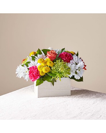 Summer Sorbet Flower Arrangement