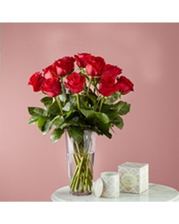 Timeless Beauty Bundle Flower Arrangement