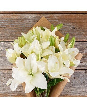 Fresh White Lilies Flowers