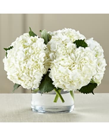 Blissful Hydrangea Flower Arrangement