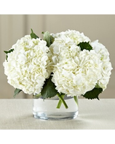 Blissful Hydrangea Flower Arrangement