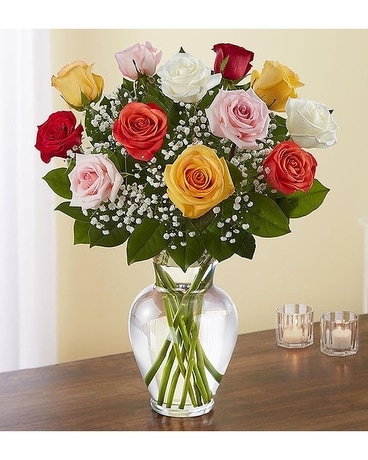 Dozen Mixed Color Roses Flower Arrangement