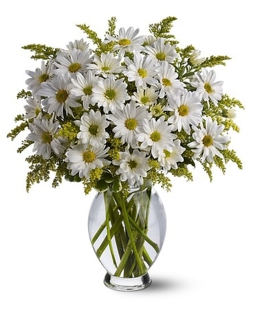 Daisy Days Flower Arrangement
