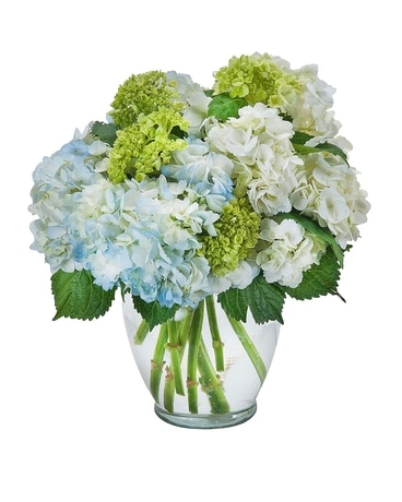 Best Sellers Flowers Delivery Runnemede NJ - Cook's Florist & Flower ...