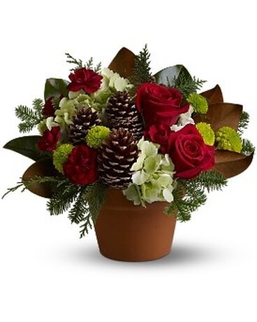 Bouquets - Weddings by Cook's Florist - Runnemede, NJ - Wedding bouquets,  Bouquet, Florist