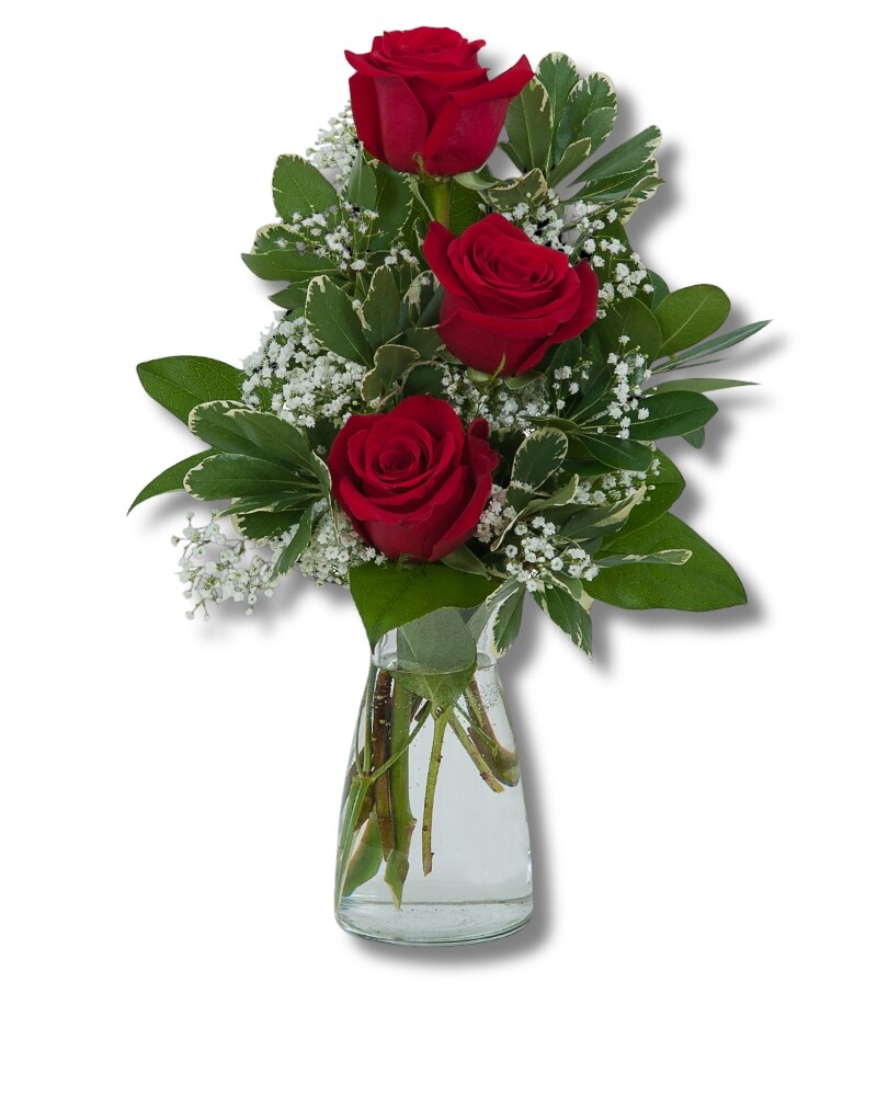 Simply Roses in Runnemede NJ - Cook's Florist & Flower Delivery