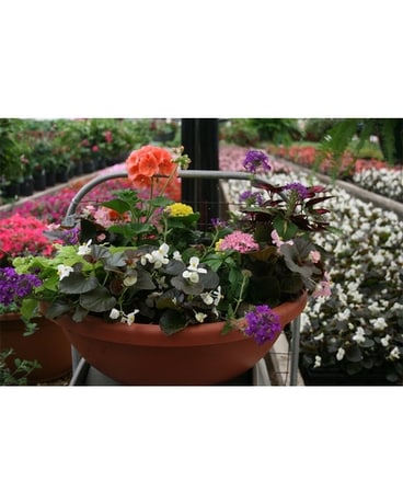 Greenhouse Flower Arrangement