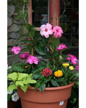 Greenhouse Flower Arrangement