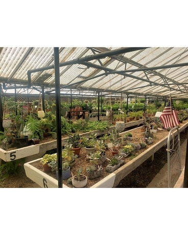 Greenhouse Flower Arrangement