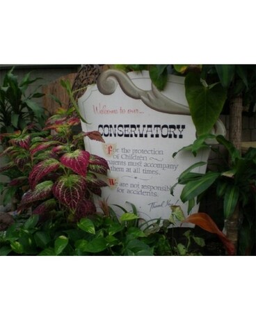 Conservatory Flower Arrangement