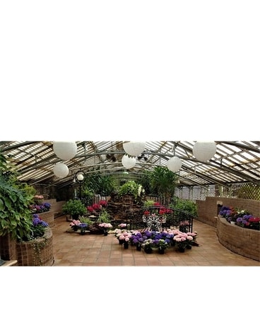 Conservatory Flower Arrangement