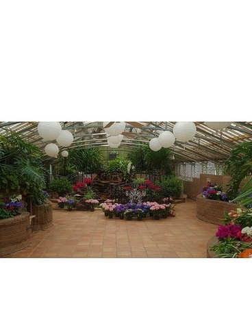 Conservatory Flower Arrangement