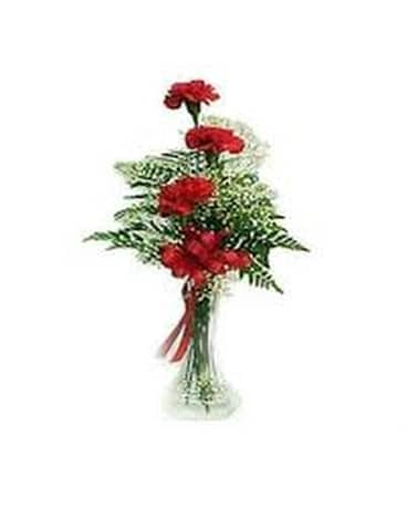 3 Carnations in a Bud Vase Flower Arrangement