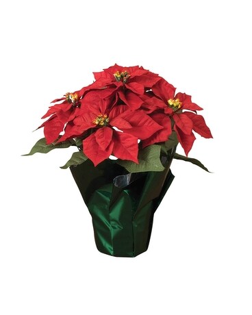 Red Poinsettia Flower Arrangement