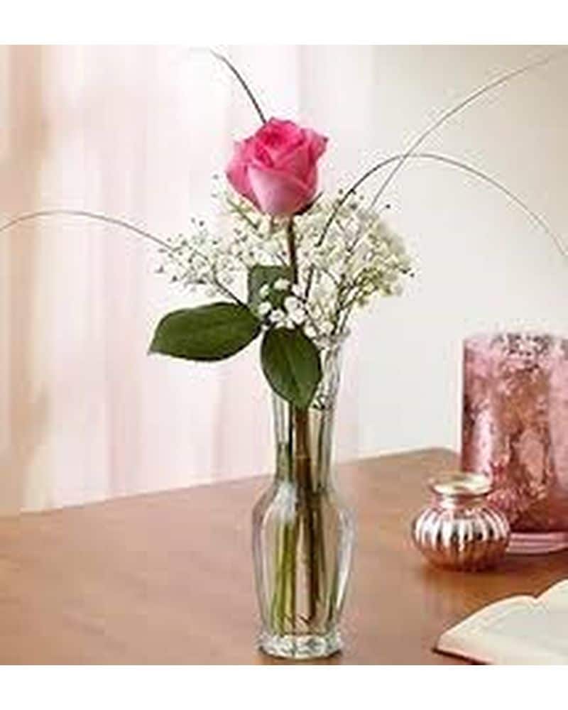 Shop by Flowers Delivery Charlottesville VA - Don's Florist & Gift