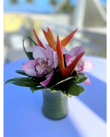 Love at Loggerhead Hi top Flower Arrangement