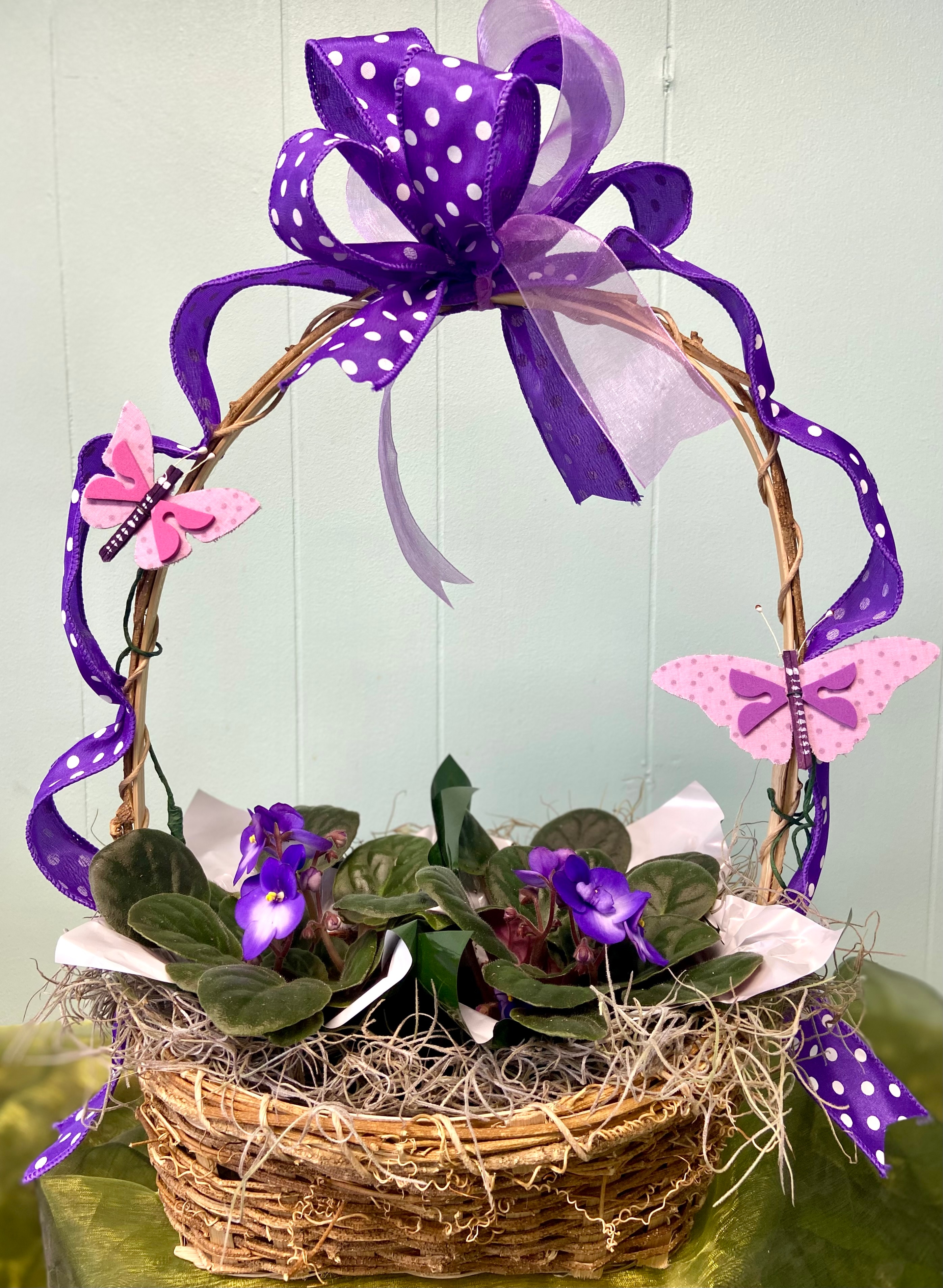 Butterflies and Violets Plant