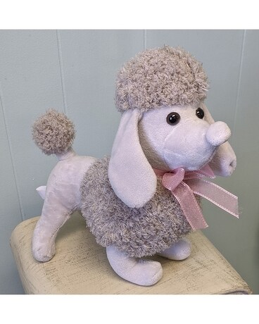 Poodle Plush Gifts