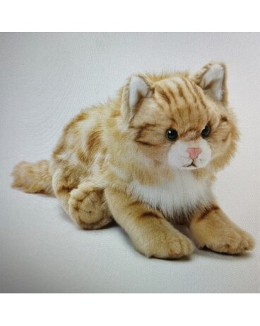 Maine Coon Cat Gifts