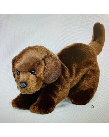 Chocolate Lab Dog Gifts