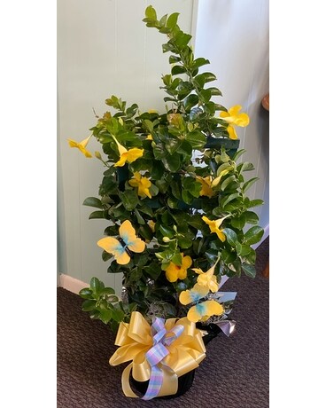 Yellow Summer Trellis Plant
