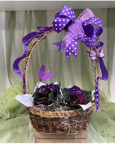 Butterflies and Violets Plant