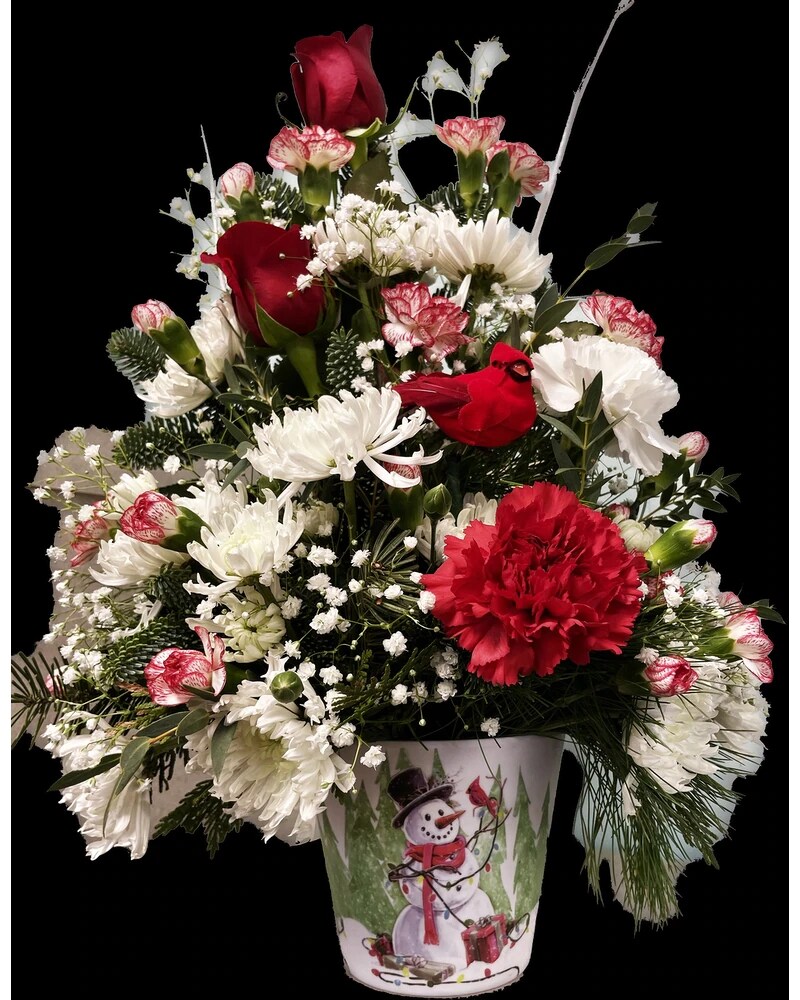 Visit from a Christmas Cardinal in Edgewater FL Bj's Flowers & Plants