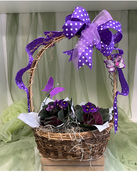 Butterflies and Violets Plant
