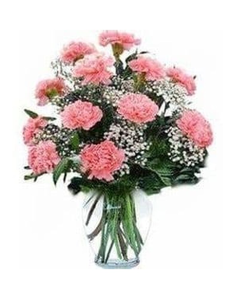 S*r様 カーネーション CARNATION EARLY YEARS BOX レ S*r様 カーネーション CARNATION EARLY YEARS BOX レ S*r様