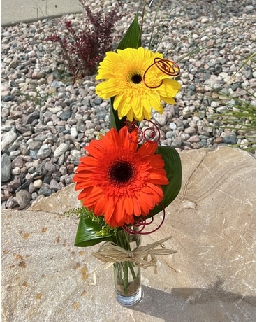 Gerbera blossoms Flower Arrangement