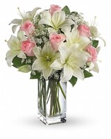  Deluxe size, 19 inches height and 11 inches wide.