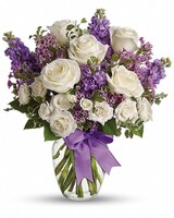  Deluxe size, 17 and a half inches height and 15 and a half inches wide.