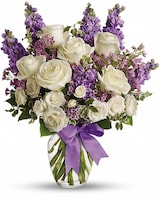  Premium size, 18 and a half inches height and 15 and a half inches wide.