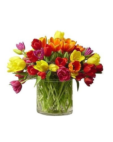 Assorted Tulips Flower Arrangement