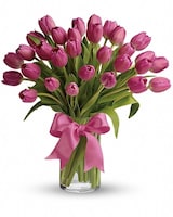  Premium size, 18 inches height and 19 inches wide.
