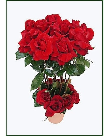 A Rose Topiary Flower Arrangement