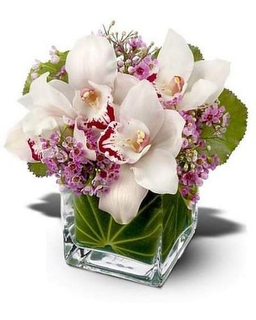 Lovely Orchids Flower Arrangement