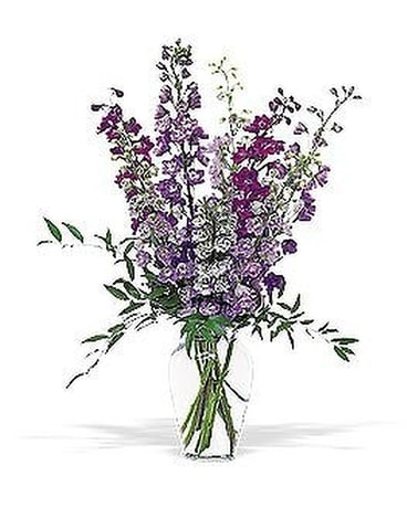 Hybrid Delphinium Flower Arrangement