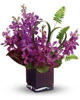  Deluxe size, 16 and a half inches height and 14 and a half inches wide.
