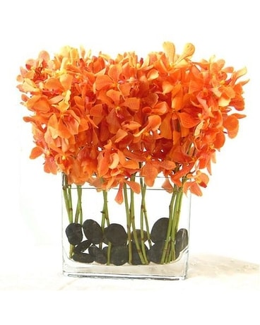 Mokara Orchid Cube Flower Arrangement