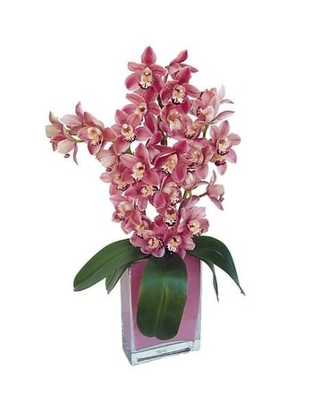 Sexy Cymbidiums Flower Arrangement