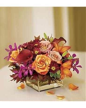 Rose Orchid Blush Flower Arrangement