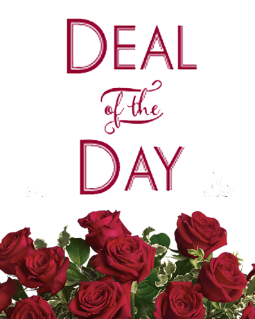 Deal of the Day