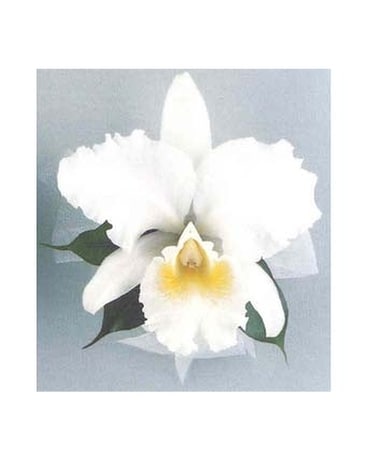 Corsage Corsage