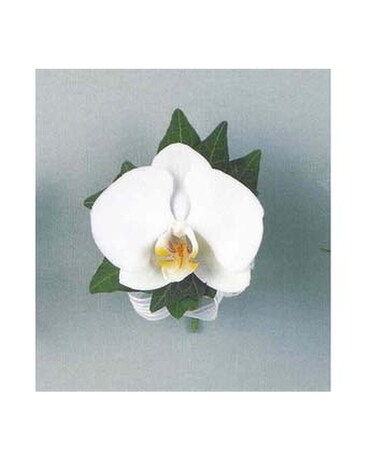 Corsage Corsage