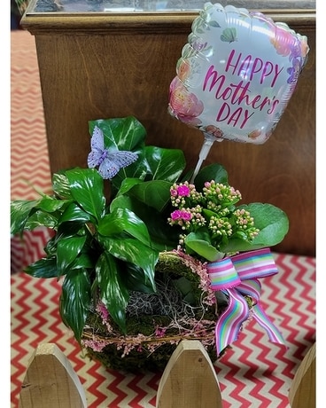 Mother's Day Garden Dish Garden Plant