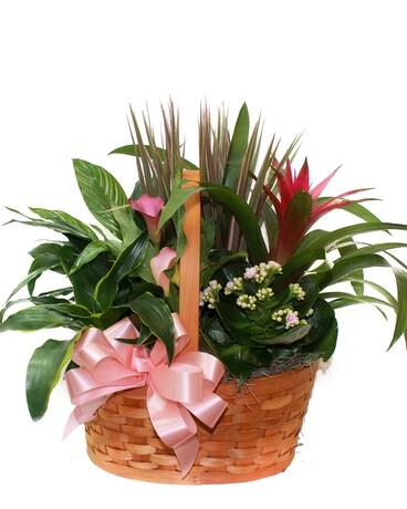 Blooming Garden Basket - Oval Flower Arrangement