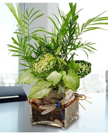 Desktop Garden Flower Arrangement