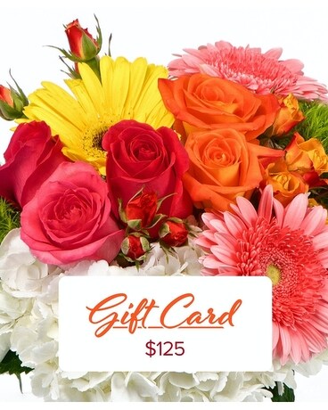 $125 Gift Card Gifts