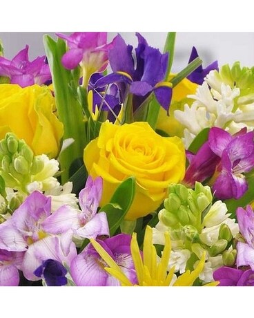 Mixed Bright Designer's Choice Flower Arrangement